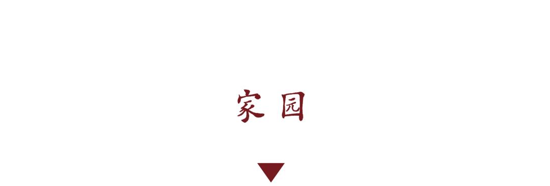 DƬ